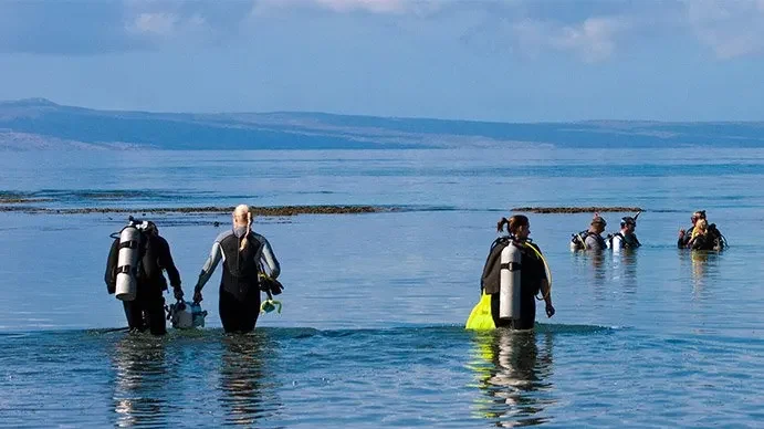 PADI IDC Staff Instructor Course in Cozumel