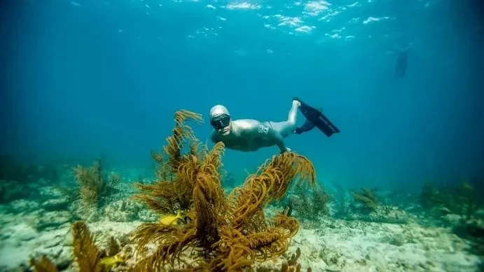 PADI Master Freediver Course in Cozumel