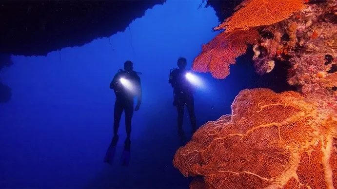 PADI Master Scuba Diver Trainer Course in Cozumel