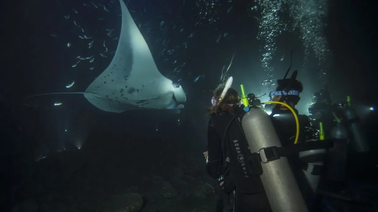 PADI Night Diver Course in Cozumel