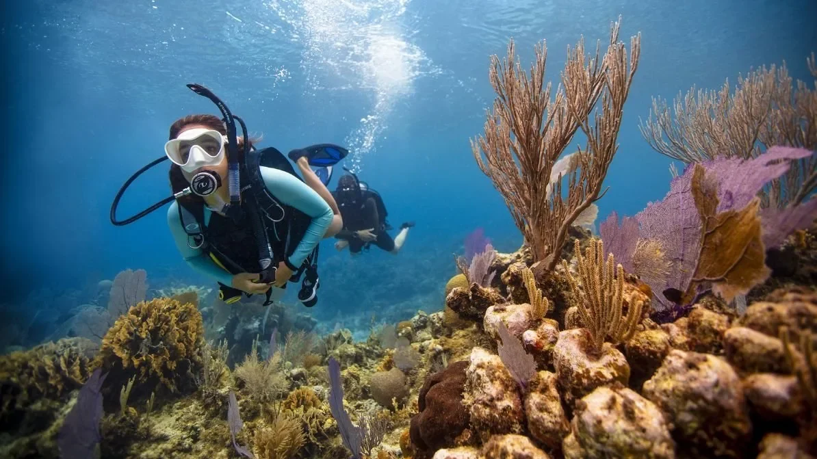 PADI Open Water Diver Certification Course in Cozumel