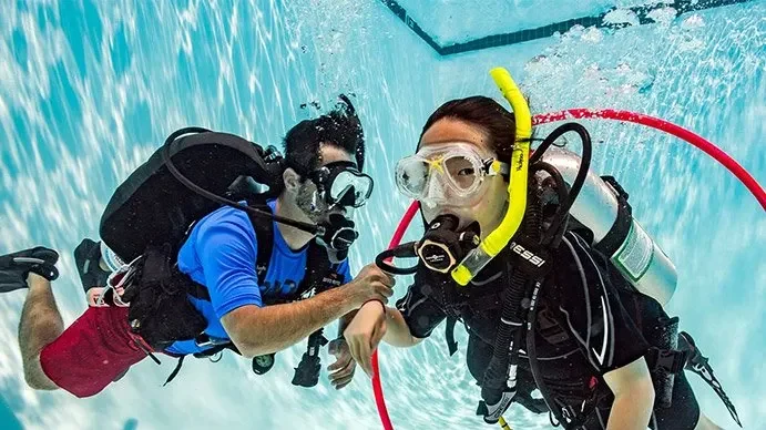 PADI Seal Team Program in Cozumel