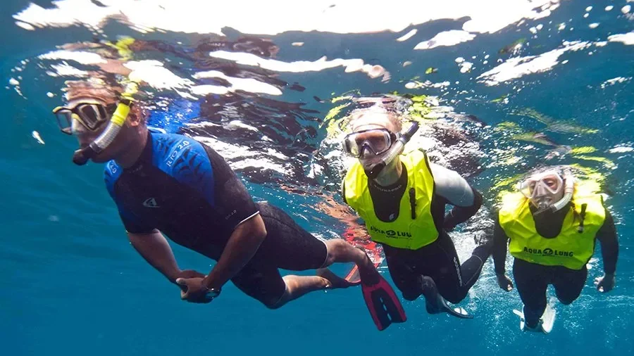PADI Skin Diver Course in Cozumel