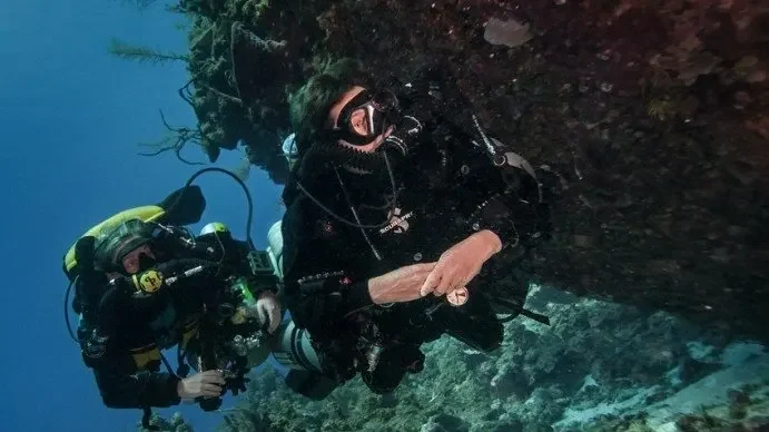 PADI Tec 100 CCR Instructor Course in Cozumel