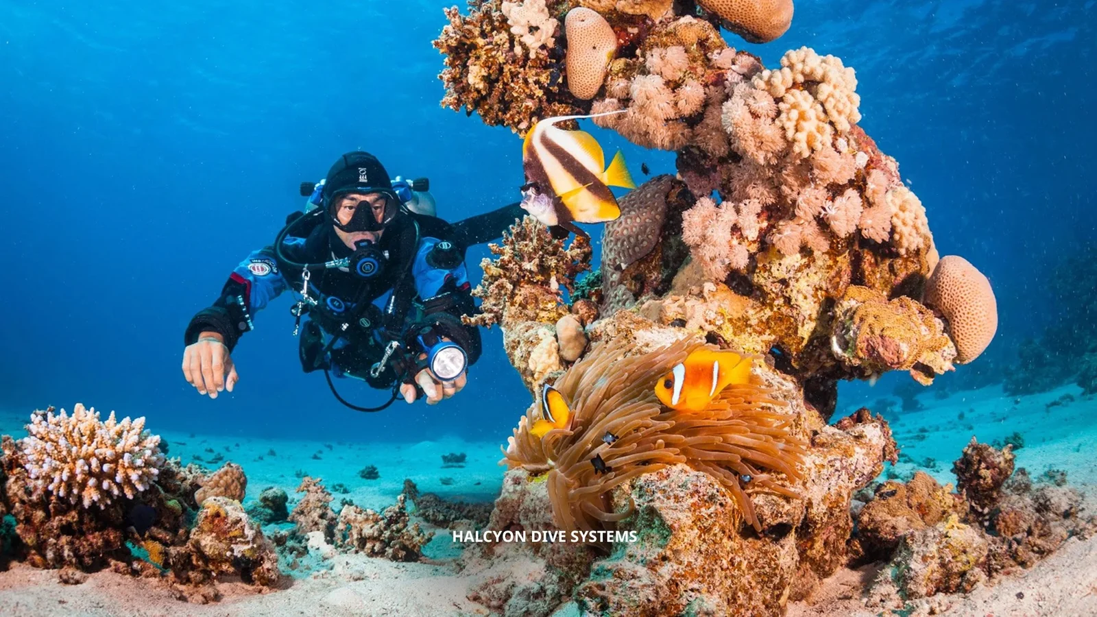 PADI Tec Basics Diver Course in Cozumel