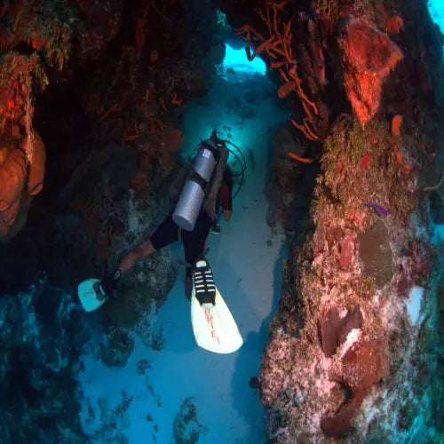Palancar Caves Reef Cozumel Dive Site dive site in Cozumel, Mexico — underwater reef photo — gallery photo