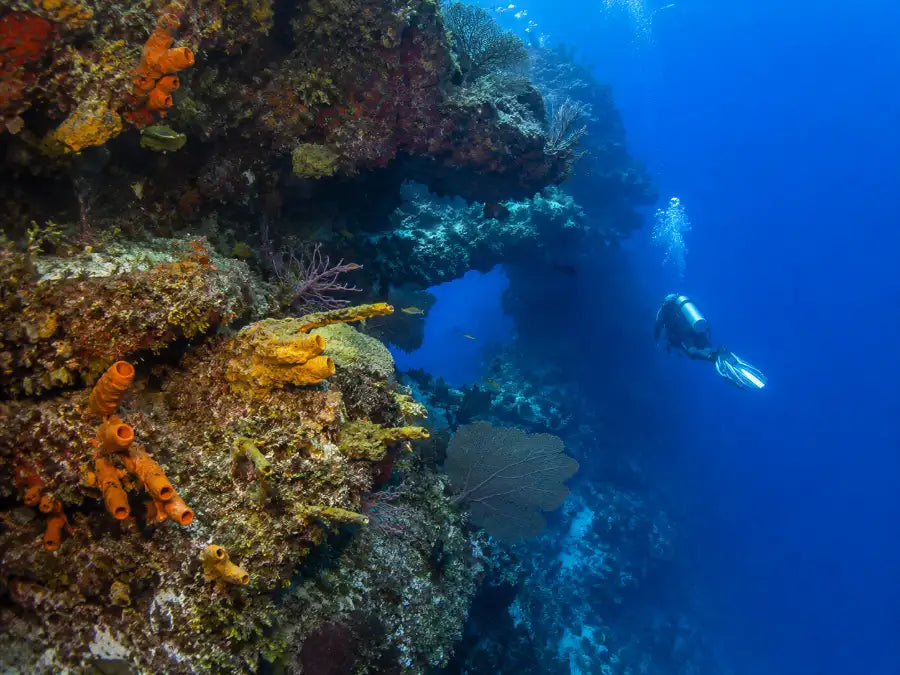 Cozumel Dive Sites: All 43 Reefs, Ranked by Depth and Skill