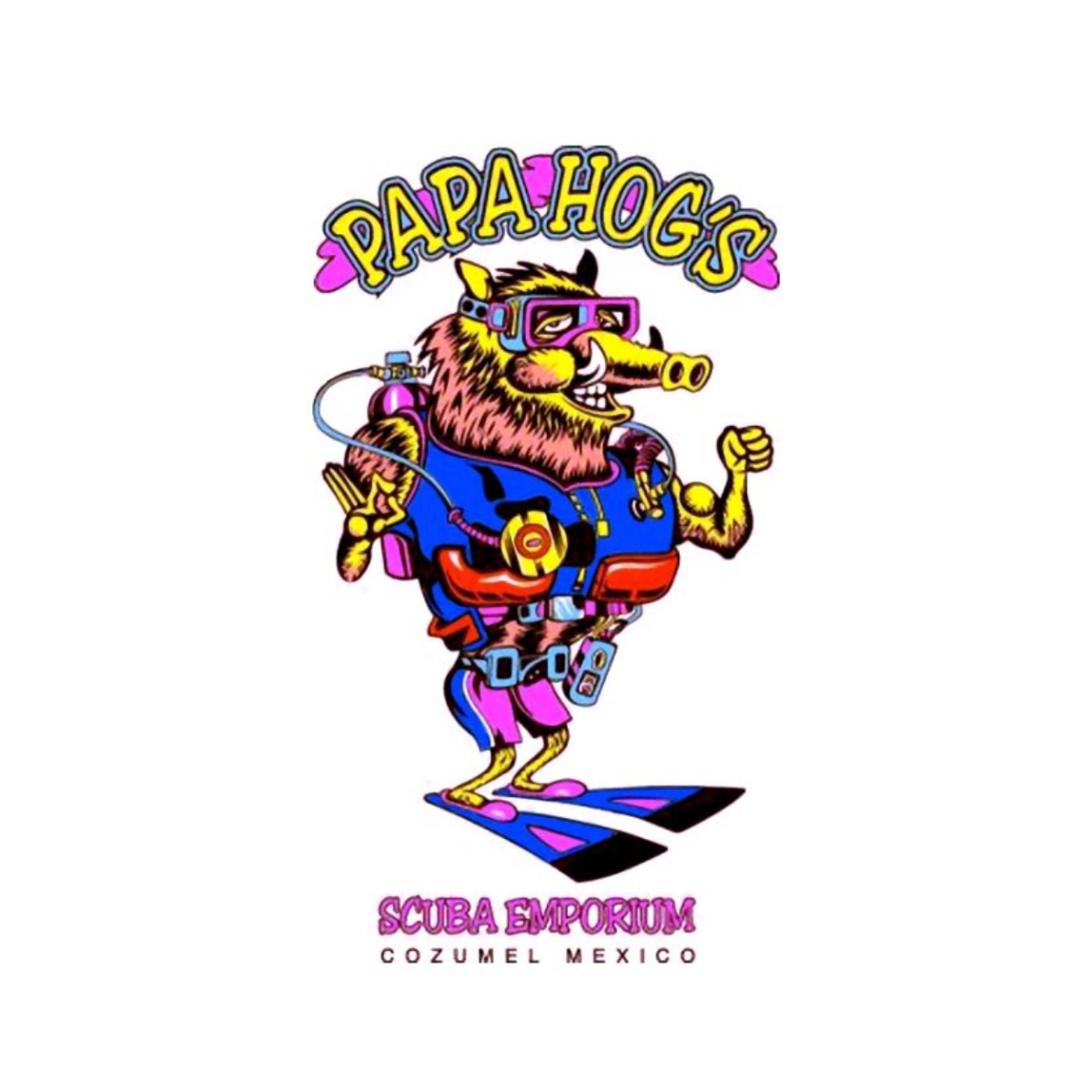 Papa Hogs Scuba Emporium Cozumel dive center in Cozumel, Mexico — gallery photo