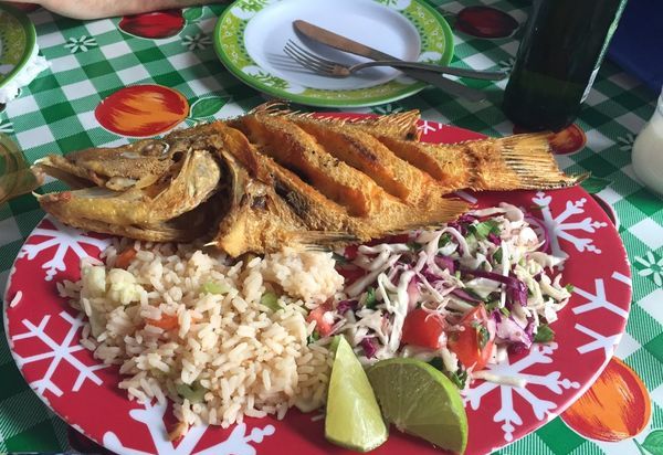 Pescadería San Carlos