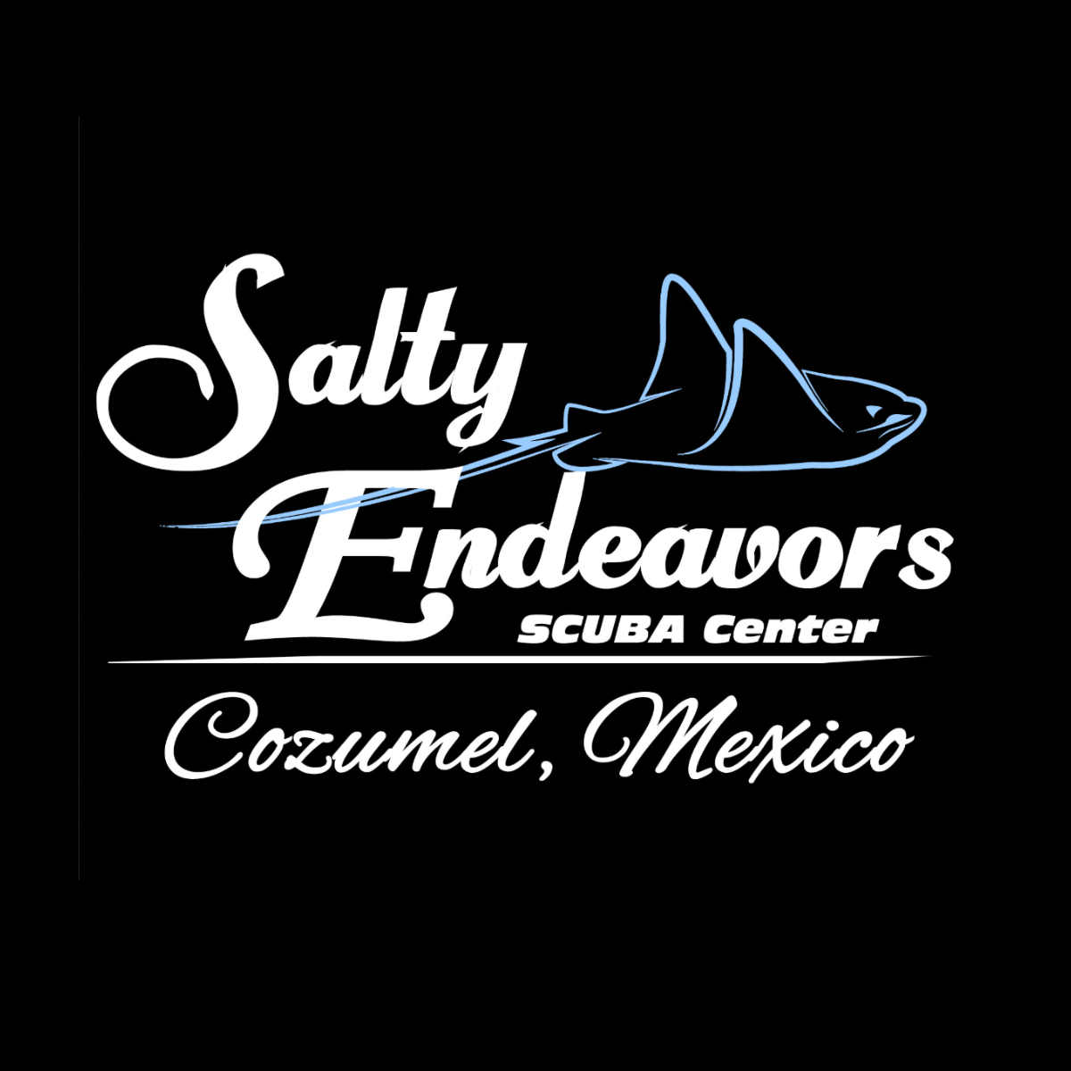 Salty Endeavors Cozumel logo