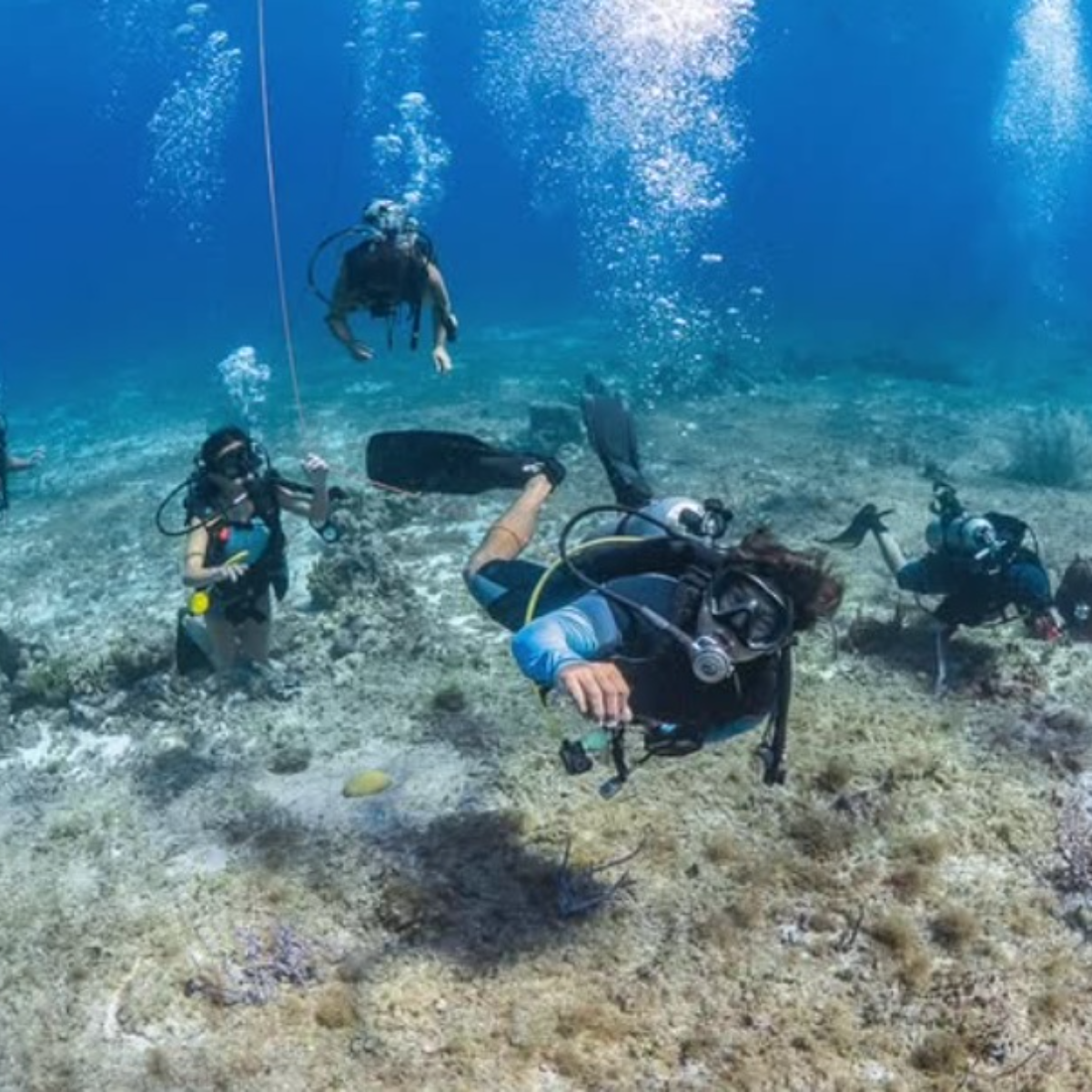 Sand Dollar Sports Cozumel: The Complete Guide — Cozumel, Mexico