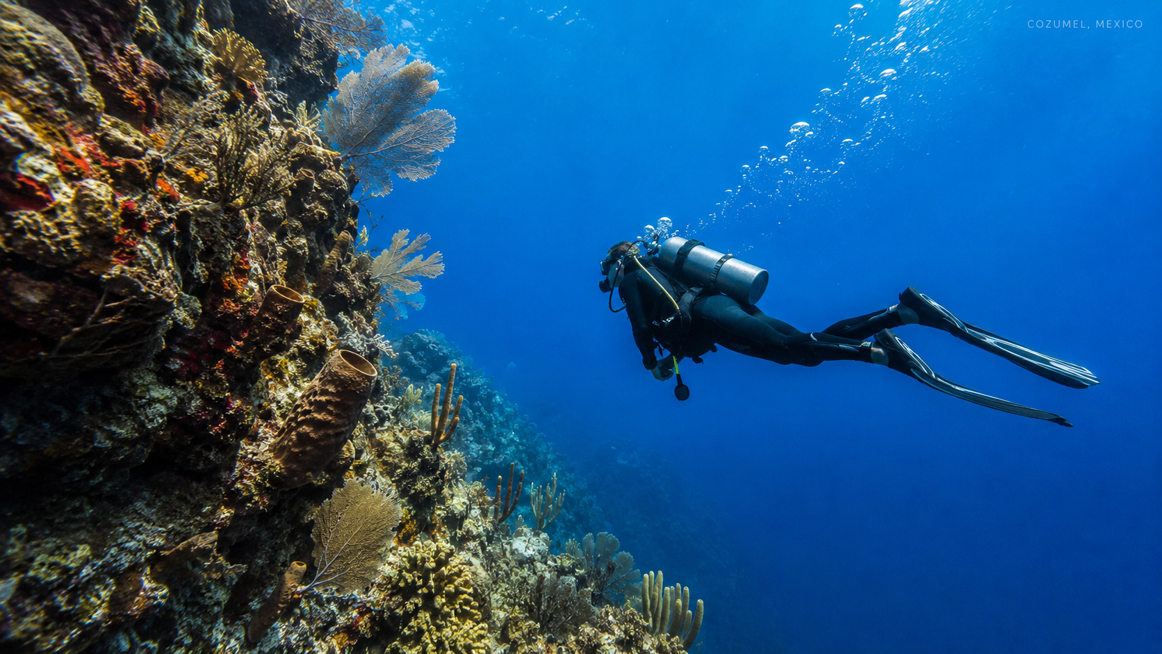 Scuba diver drift diving over a Cozumel reef wall