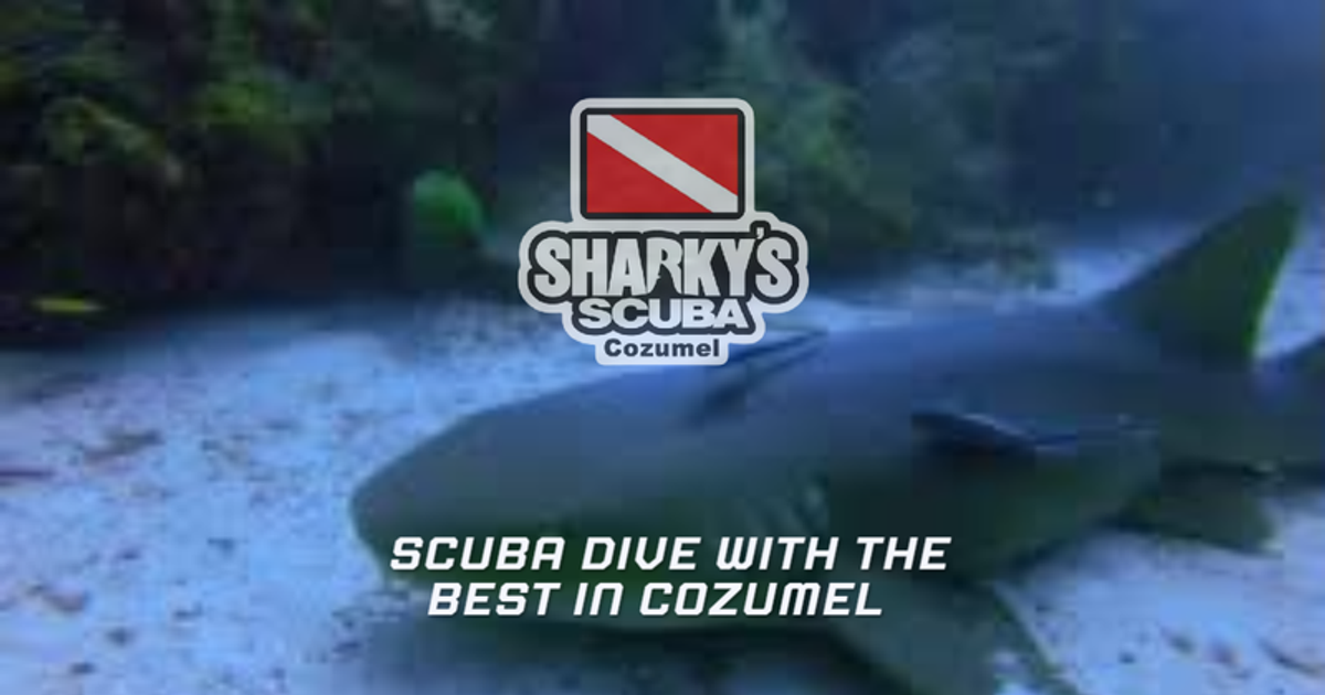 Sharky's Scuba Cozumel dive center logo, Cozumel, Mexico