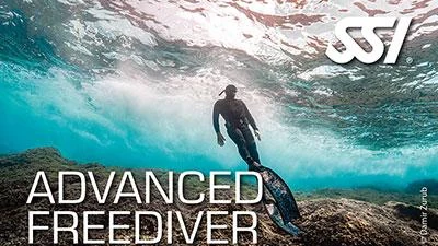 SSI Freediving Assistant Instructor Course in Cozumel