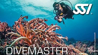 SSI Divemaster Course in Cozumel