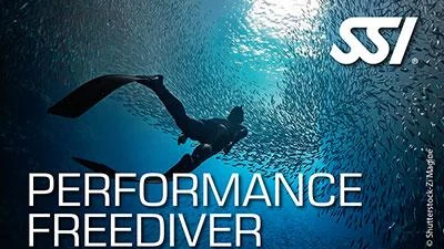 SSI Freediver Course in Cozumel