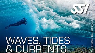 SSI Waves, Tides & Currents Course in Cozumel