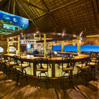 The Money Bar Beach Club