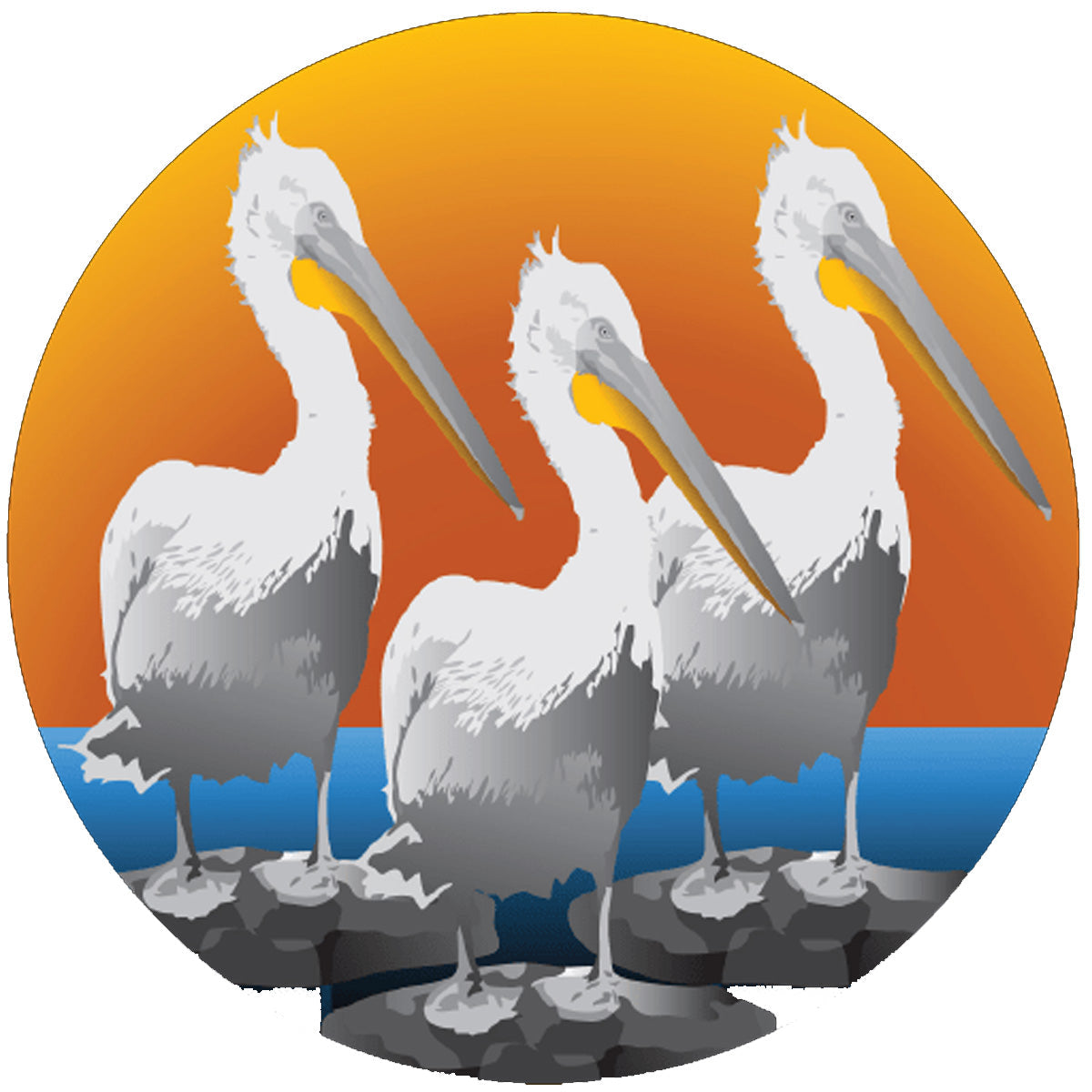 Tres Pelicanos Dive Center Cozumel dive center in Cozumel, Mexico — gallery photo