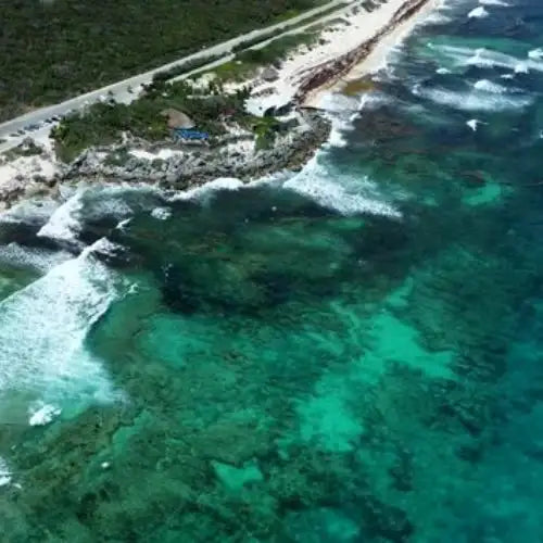 Chen Rio Reef Cozumel Dive Site dive site in Cozumel, Mexico — underwater reef photo — gallery photo