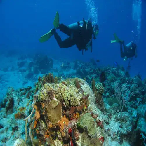 Chankanaab Bolones Dive Site dive site in Cozumel, Mexico — underwater reef photo — gallery photo
