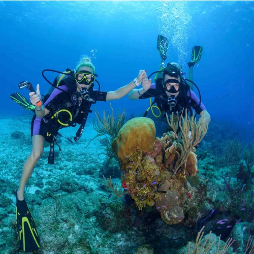 Villa Blanca Wall Dive Site – Cozumel dive site in Cozumel, Mexico — underwater reef photo — gallery photo
