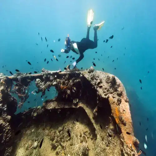 C-53 Shipwreck Dive Site dive site in Cozumel, Mexico — underwater reef photo — gallery photo
