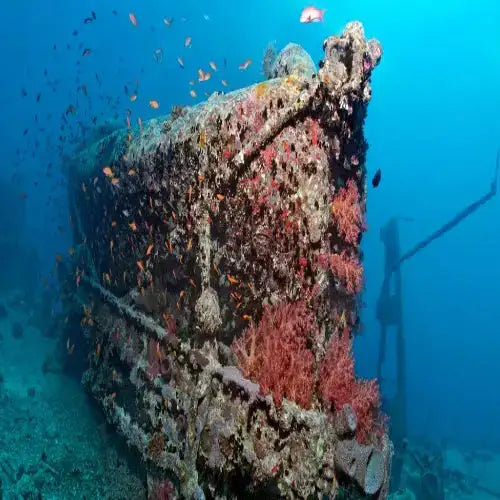 C-53 Shipwreck Dive Site dive site in Cozumel, Mexico — underwater reef photo — gallery photo