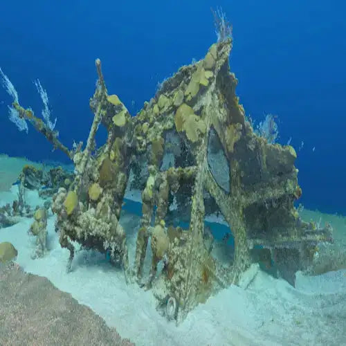 C-53 Shipwreck Dive Site dive site in Cozumel, Mexico — underwater reef photo — gallery photo