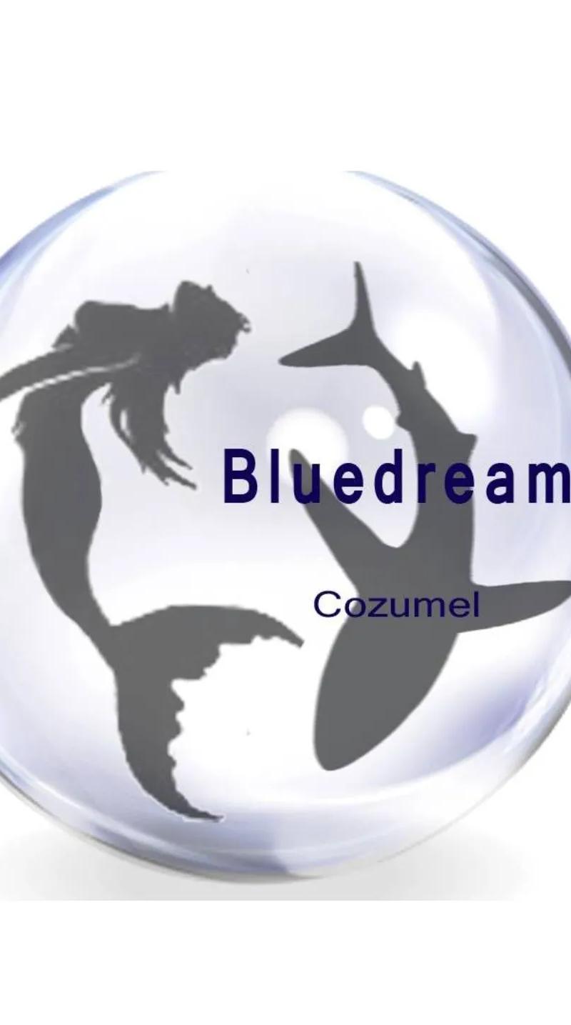 Dive Center Blue Dream Cozumel