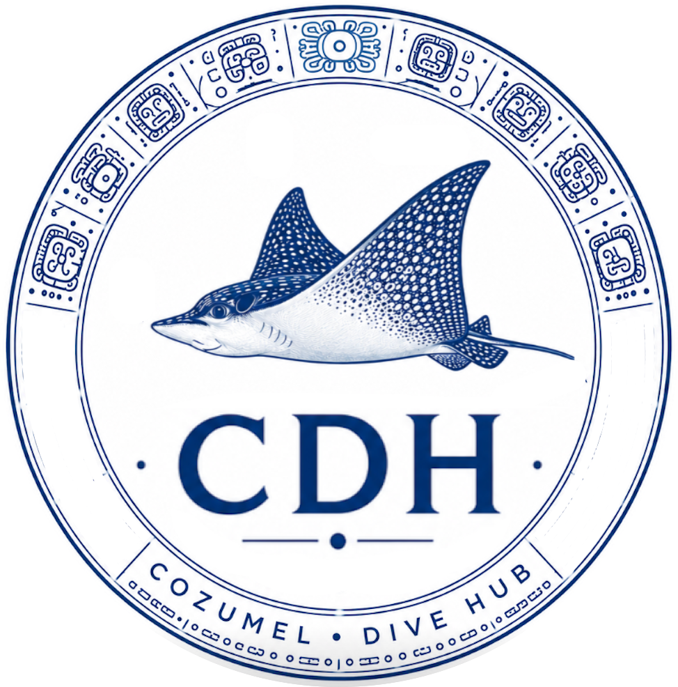 Cozumel Dive Hub