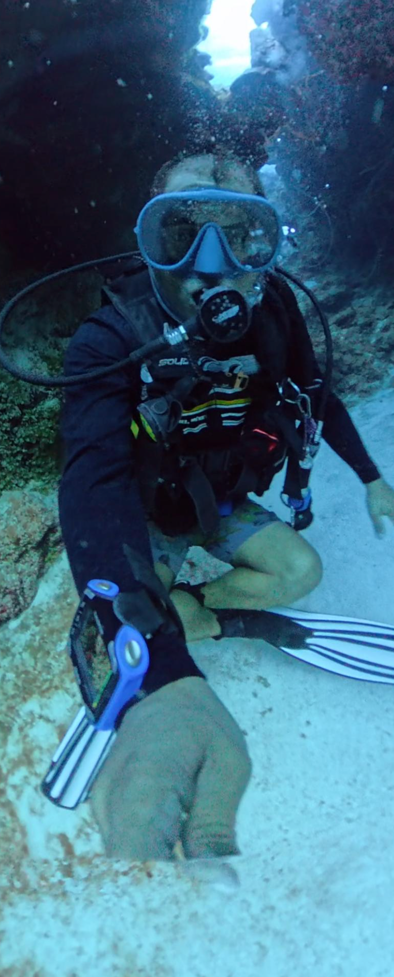 Octavio Silvestrus — freelance dive professional in Cozumel, Mexico — gallery photo
