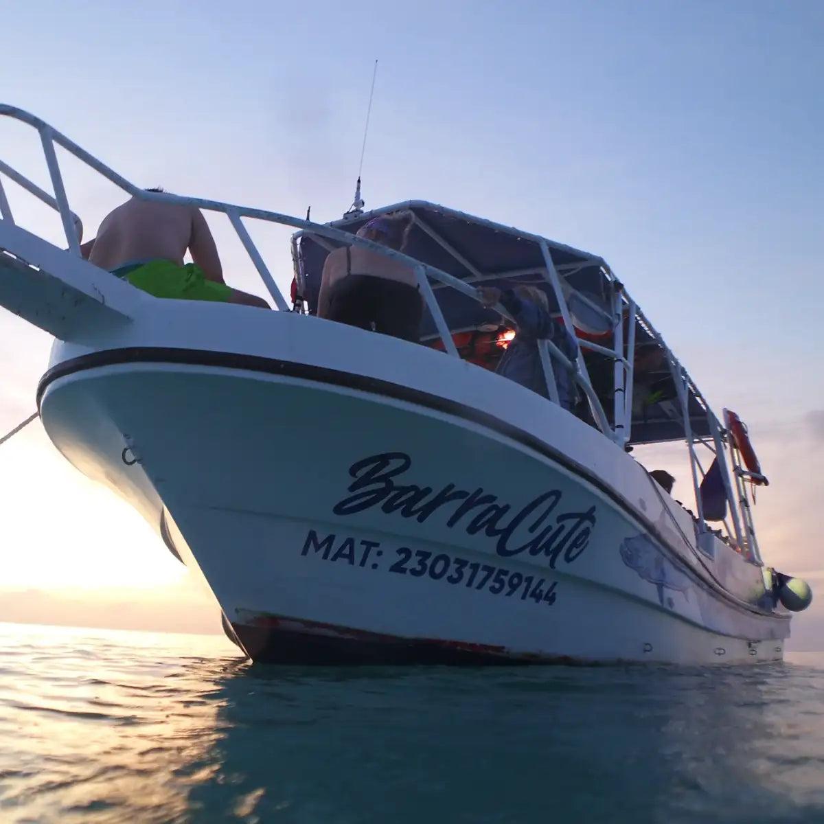 Agua Clara Diving Cozumel: The Complete Guide — Cozumel, Mexico