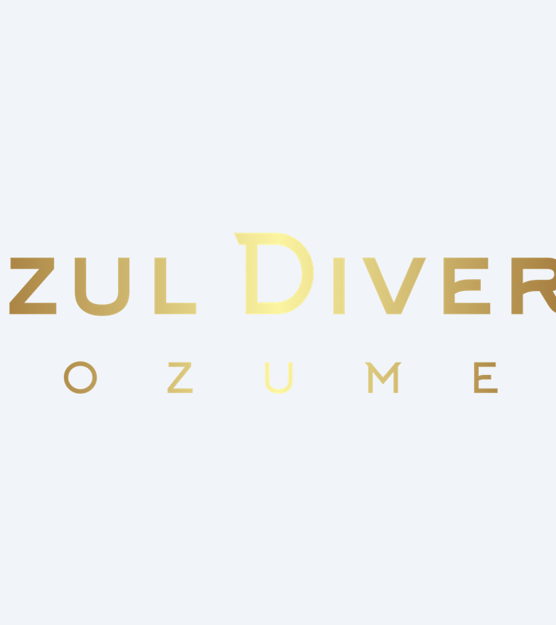 Azul Divers