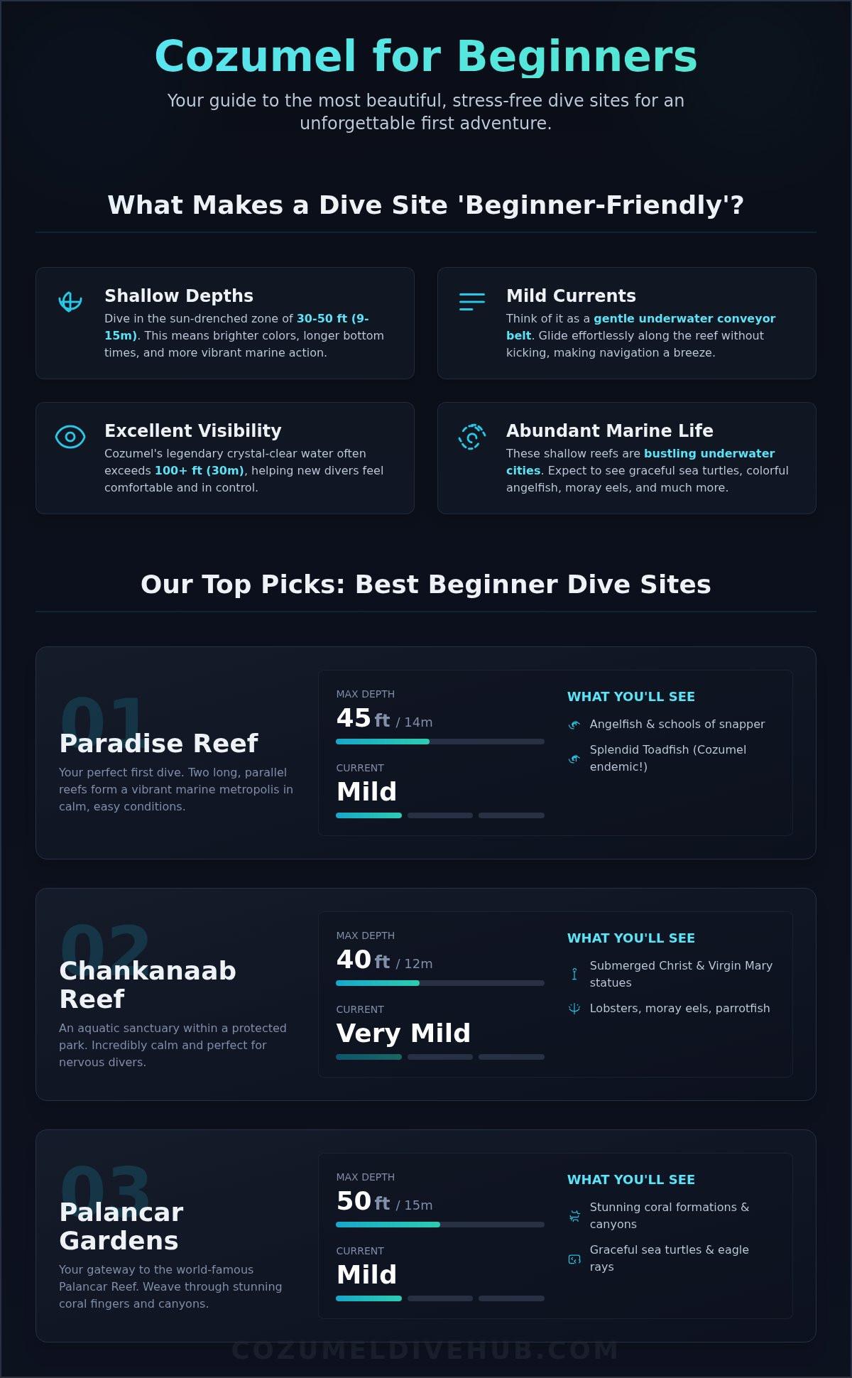 Best dive sites in cozumel for beginners