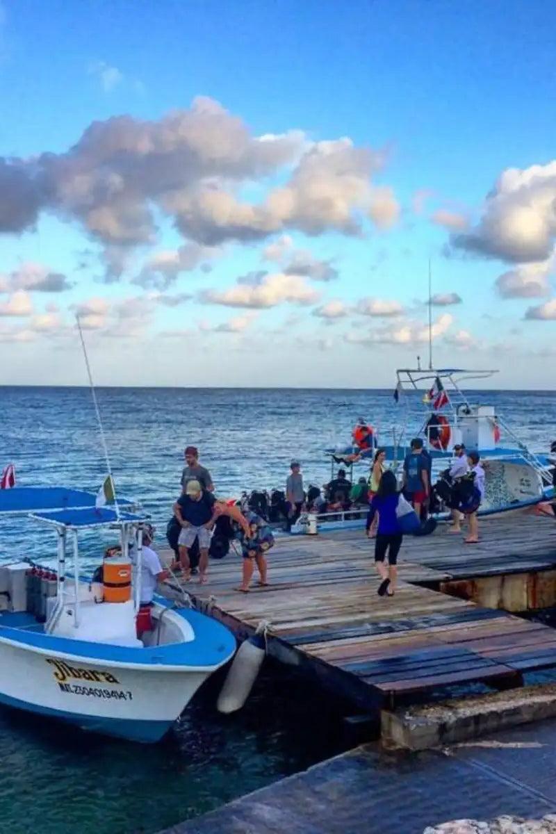 Twenty-two rooms, own dock, dive shop downstairs
