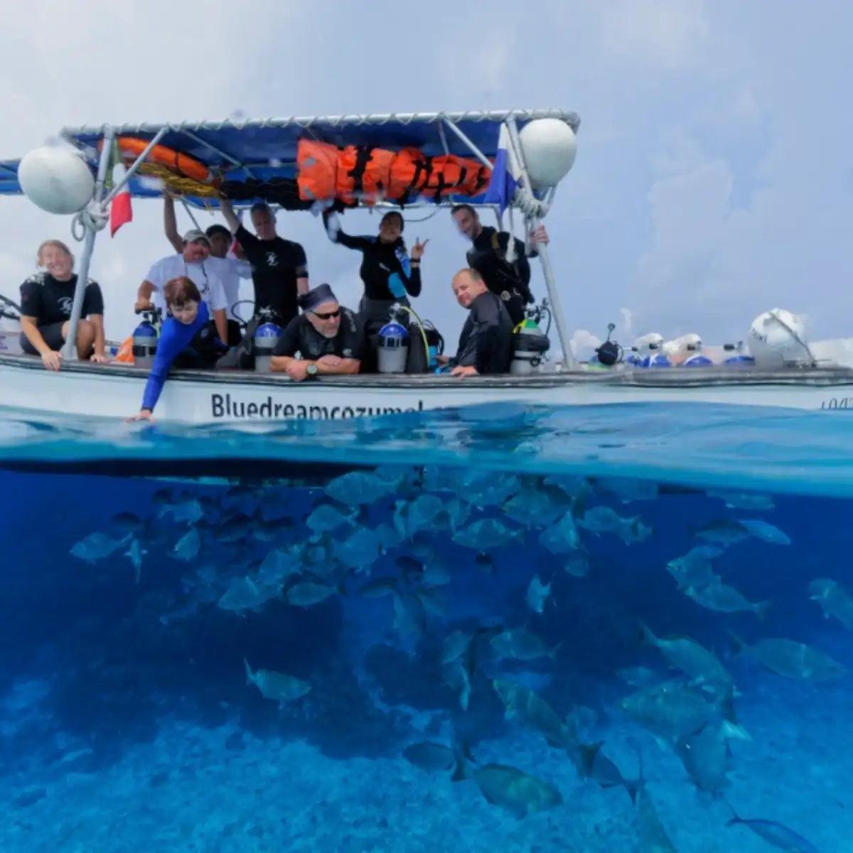 Blue Dream Cozumel: The Complete Guide — Cozumel, Mexico