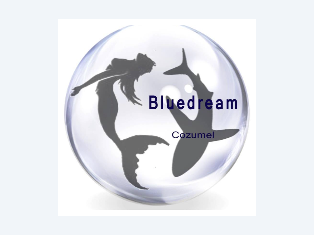 Dive Center Blue Dream Cozumel