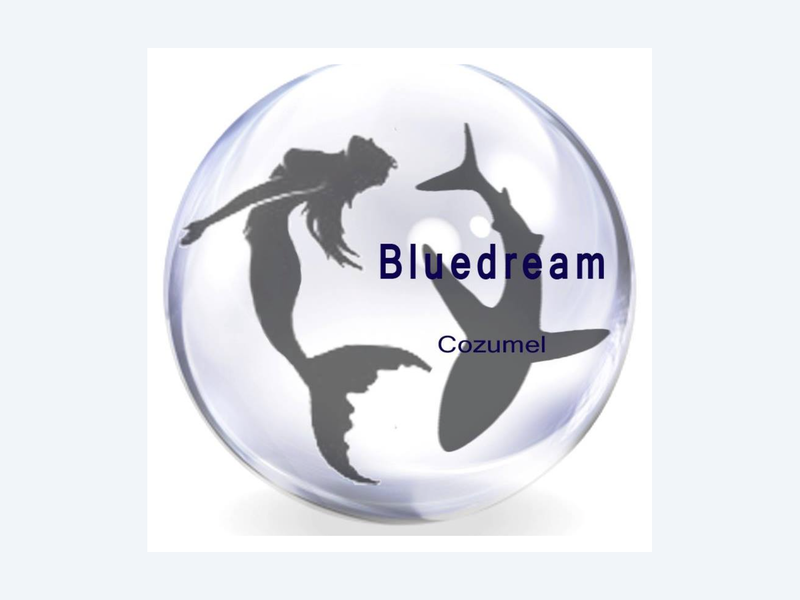 Dive Center Blue Dream Cozumel