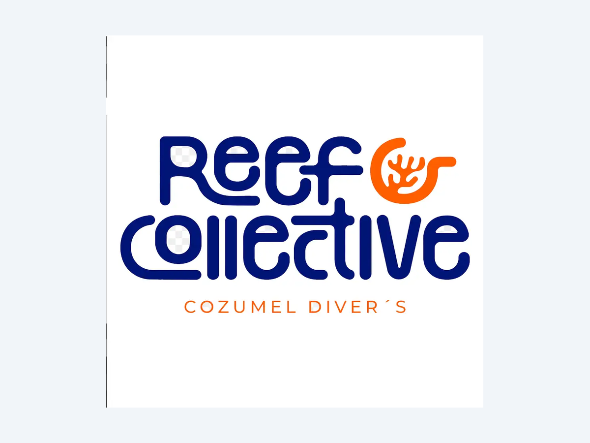 REEF COLLECTIVE Cozumel Divers
