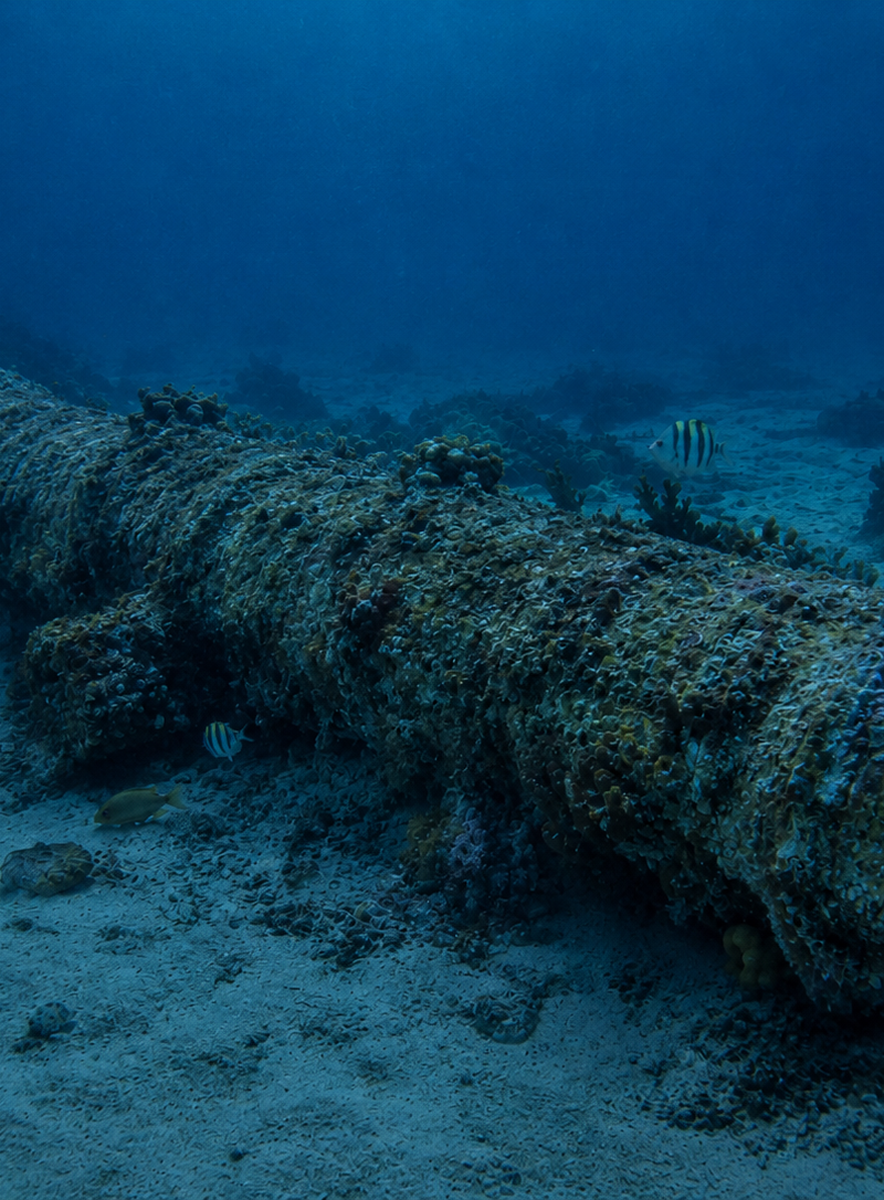 Spanish Galleon Dive in Cozumel: Cannons, Anchors & Lost Caribbean History