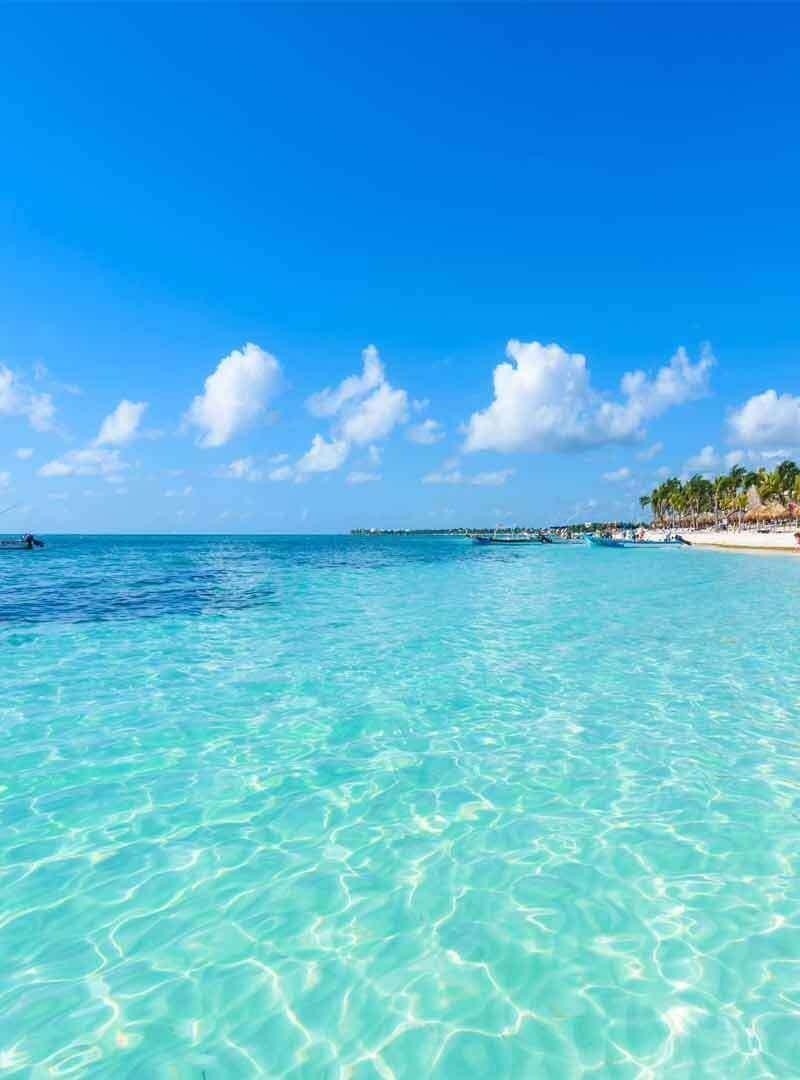 Cozumel Best Tours