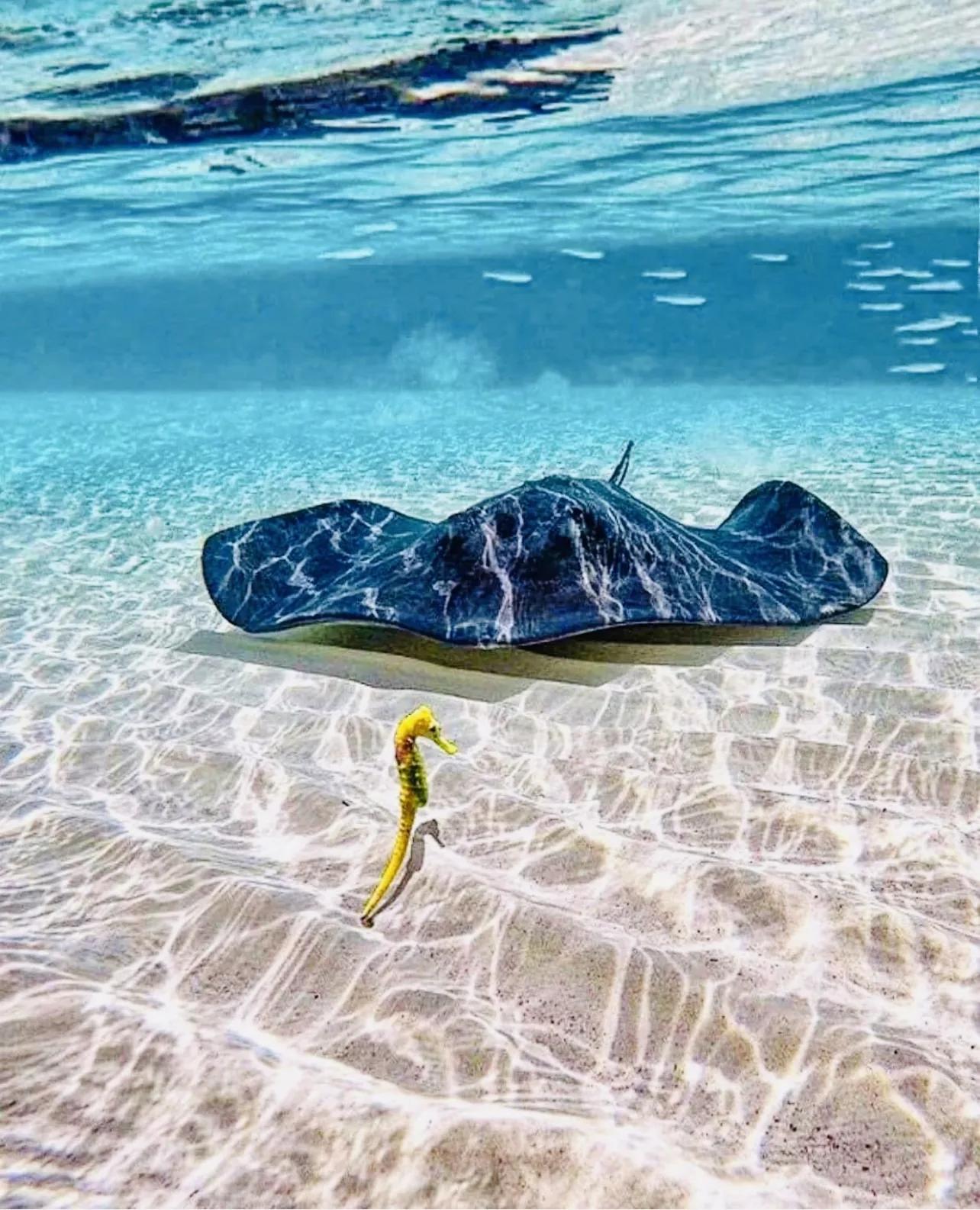 Cozumel Cruise Tours