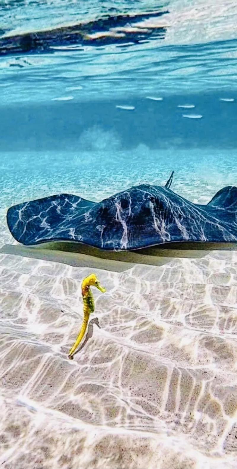 Cozumel Cruise Tours