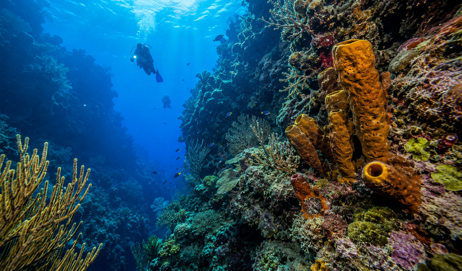 Cozumel dive site with coral reef formations and blue Caribbean water