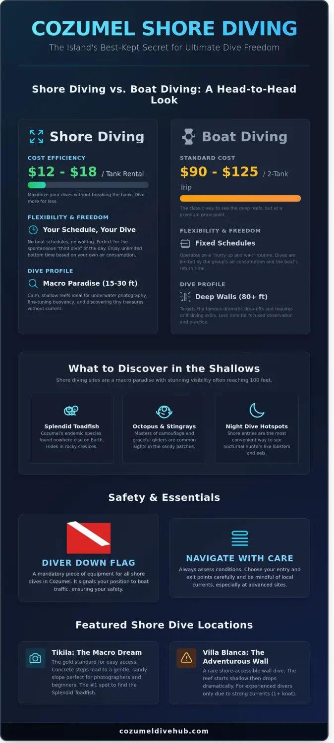 Cozumel shore diving locations infographic - visual guide