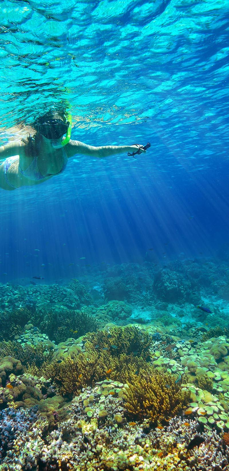 Cozumel Snorkel Center