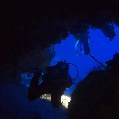 Devil's Throat Reef Cozumel Dive Site dive site in Cozumel, Mexico — underwater reef photo