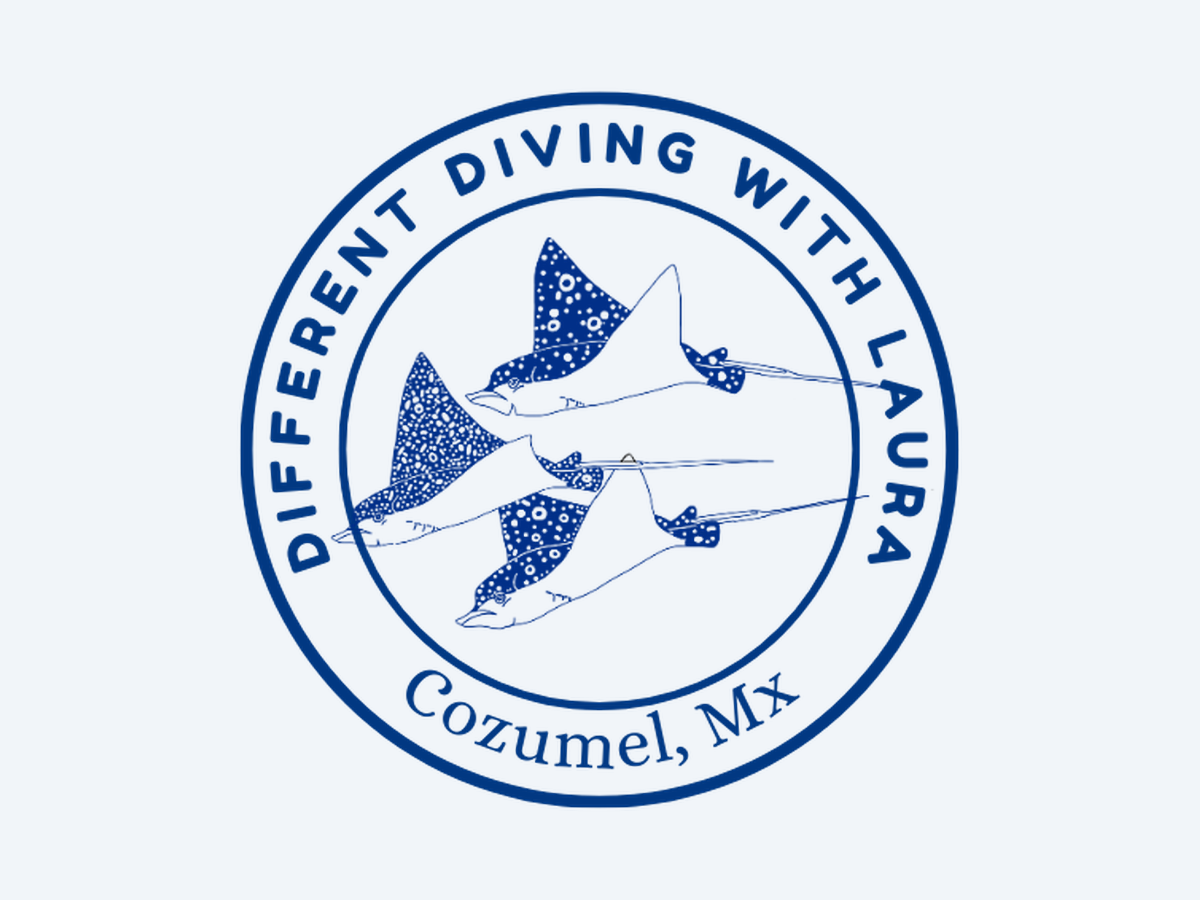 Different Diving with Laura Cozumel