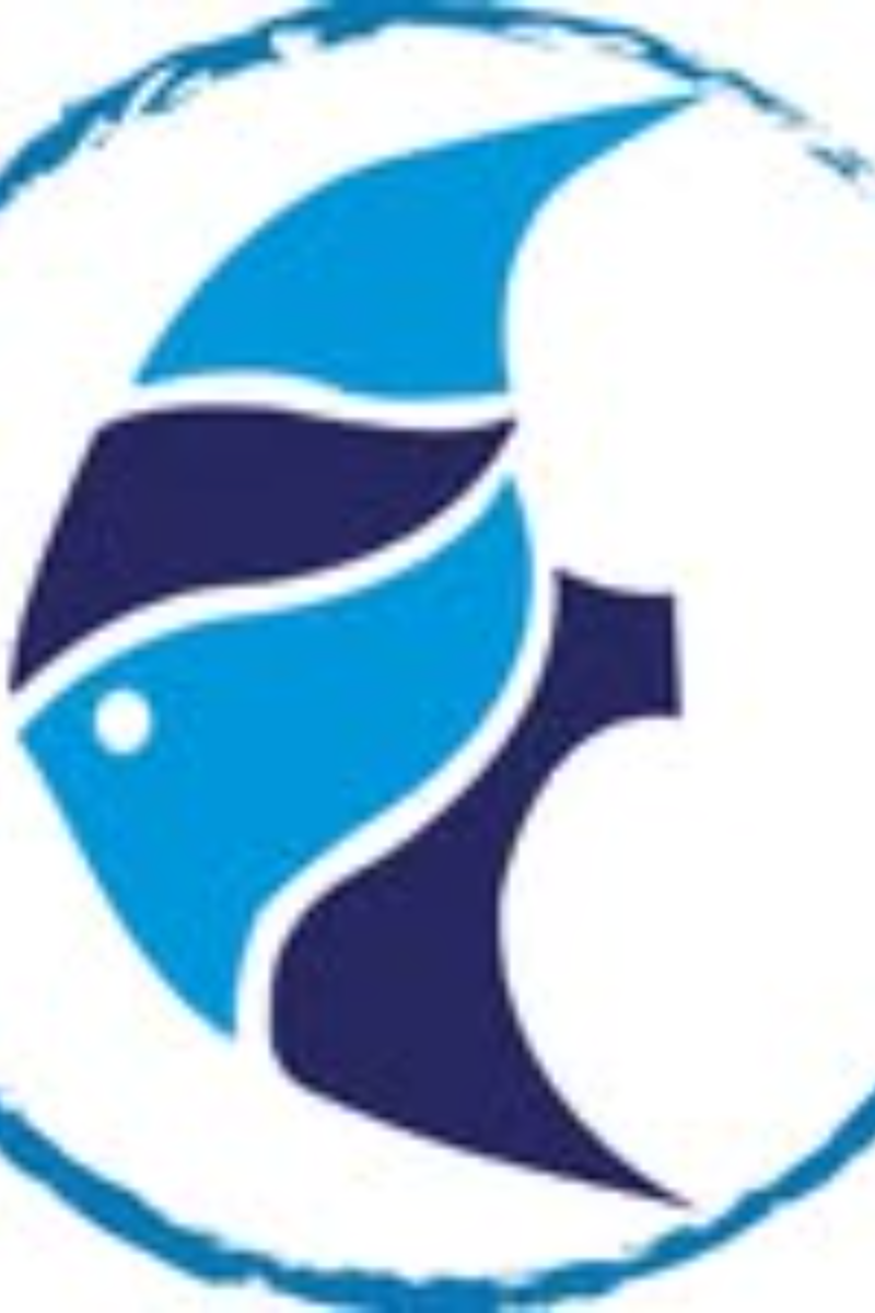 Dive Palancar Cozumel